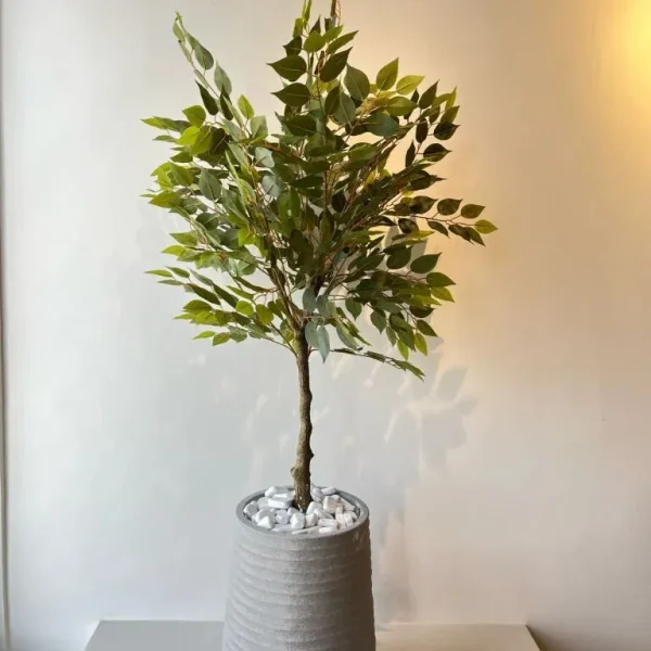 Verdant Serenity Potted Tree